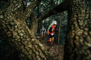 BIB: 
                            <button type="button" onclick="openModal(25670459)" class="btn btn-primary btn-sm float-right btn-popup" data-toggle="modal" data-target=".modal-high-quality">
                        <i class="fas fa-shopping-cart"></i> Add to Cart
                    </button>
                                            <button type="button" onclick="isThisMe(25670459, true)" class="btn btn-success btn-sm float-right btn-popup btn-isme hidden" data-toggle="tooltip" data-placement="bottom" title="นี่คือรูปของคุณใช่ไหม คลิกที่นี่เพื่อเอาเข้าอัลบั้ม">
                        <i class="fas fa-plus"></i> Add to album
                    </button>
                    <button type="button" onclick="isThisMe(25670459, false)" class="btn btn-warning btn-sm float-right btn-popup btn-isnotme hidden">
                        <i class="fas fa-ban"></i> Remove from album
                    </button>